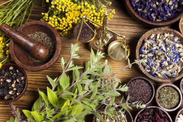 واکسن آنفولانزای خانگی در پاییز و زمستان