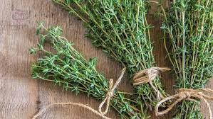فیلم/نجف چه جای قشنگی برای تدفین است