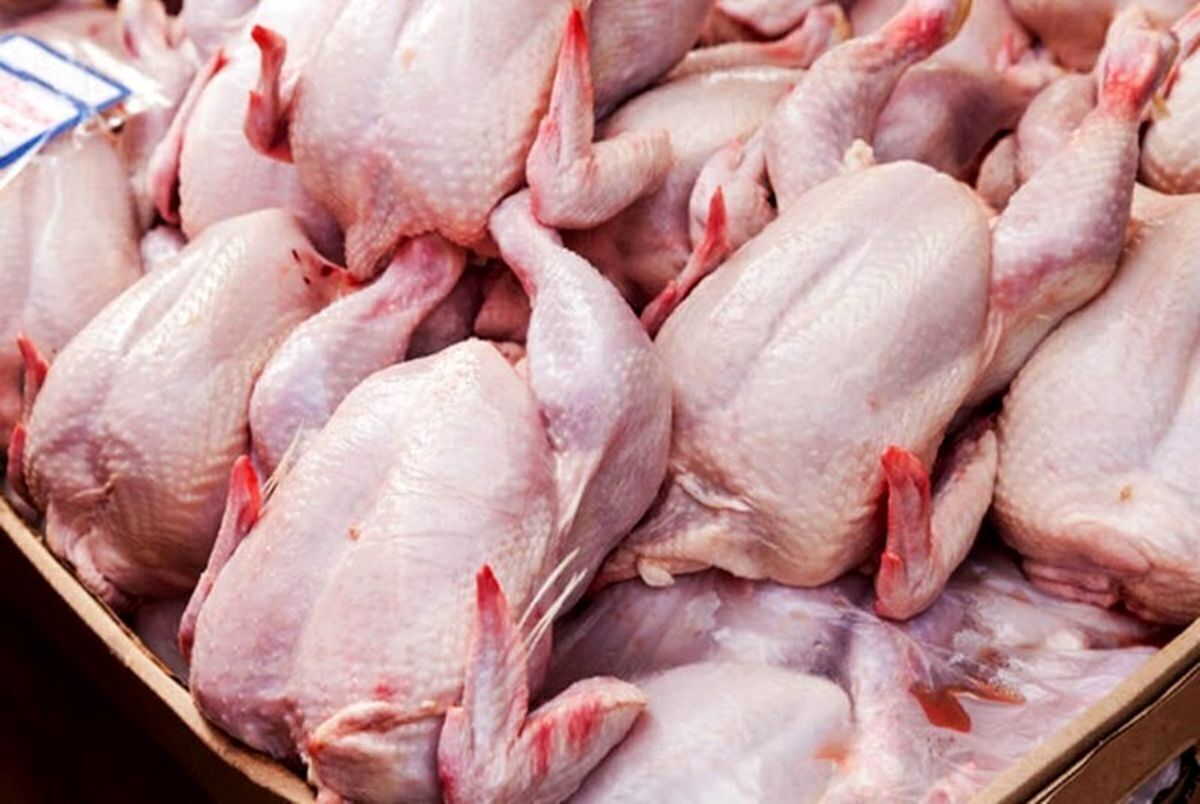 قیمت گوشت مرغ ۱۷ دی ۱۴۰۳