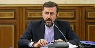 واکنش رسمی سفیر به شایعه خودنویس طلاکاری‌ و غریب‌آبادی