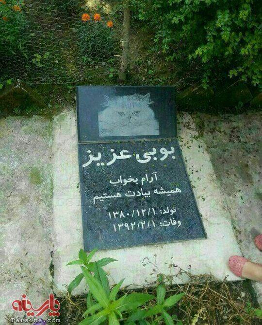 فیلمی عجیب از قبرستان حیوانات خانگی در تهران